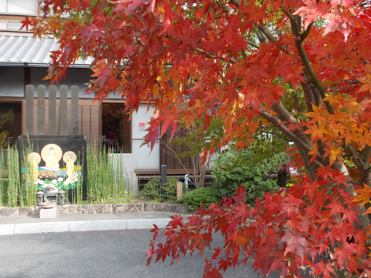 龍華霊園の秋の風景